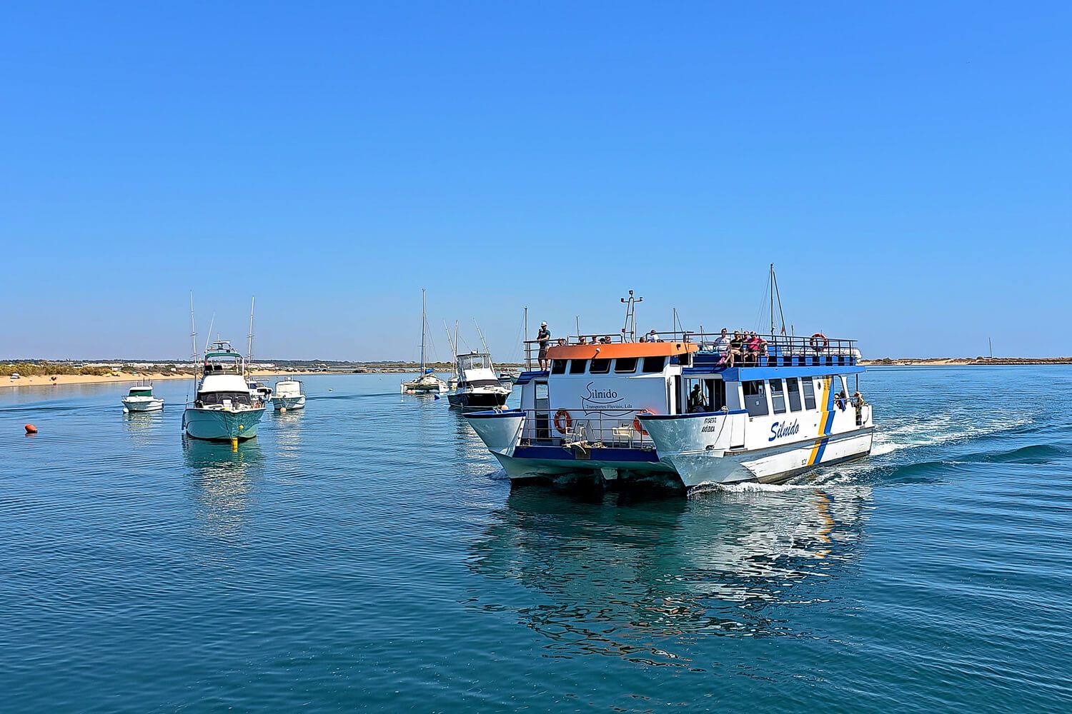 ilha (5)