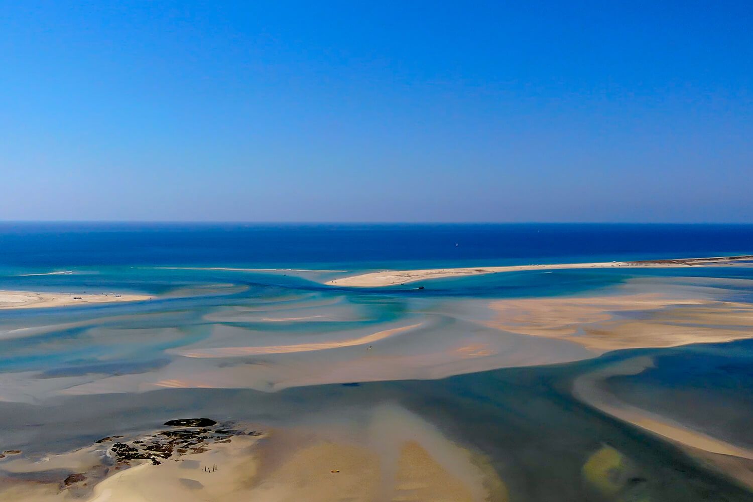 ria formosa (1)