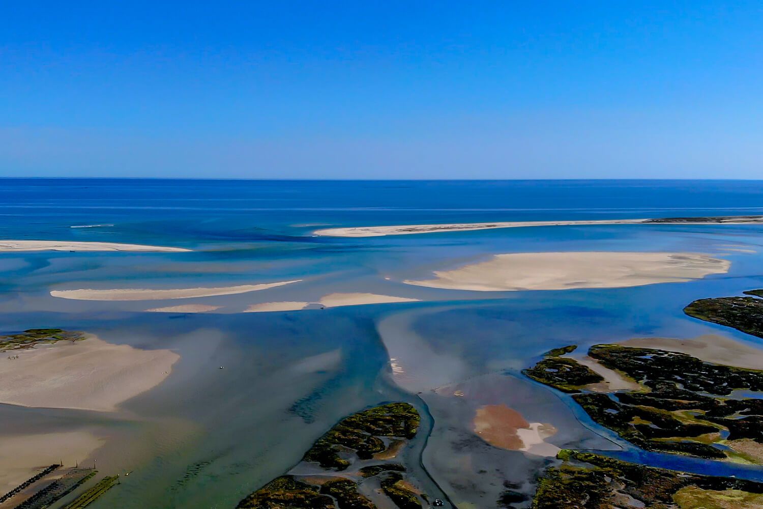ria formosa (2)